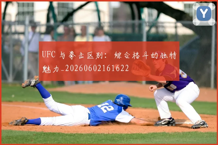 UFC 与拳击区别：综合格斗的独特魅力_20260602161622
