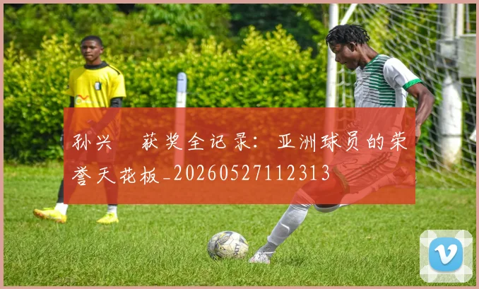孙兴慜获奖全记录：亚洲球员的荣誉天花板_20260527112313