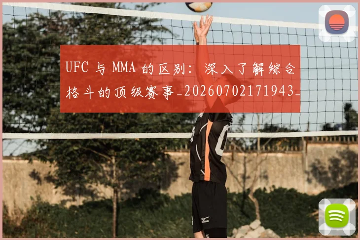 UFC 与 MMA 的区别:深入了解综合格斗的顶级赛事_20260702171943_20260714215217