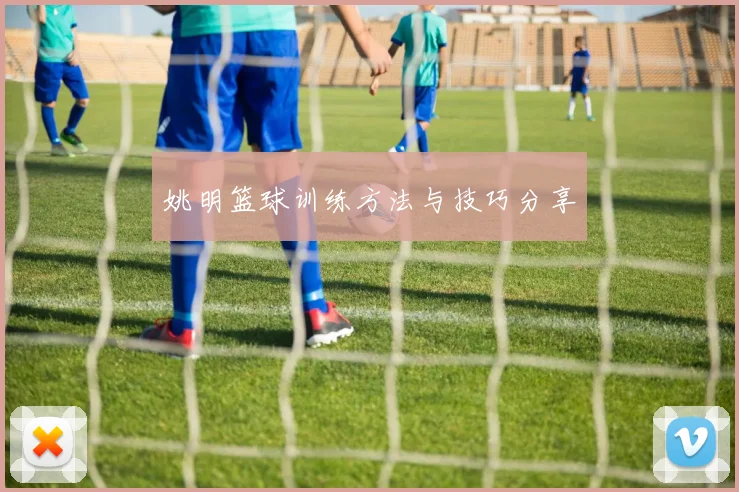 姚明篮球训练方法与技巧分享