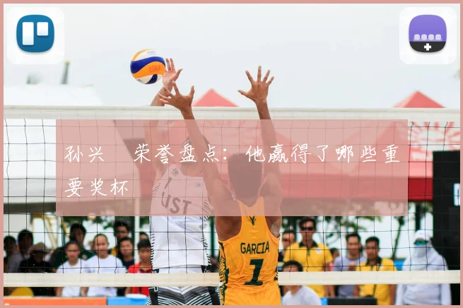 孙兴慜荣誉盘点：他赢得了哪些重要奖杯